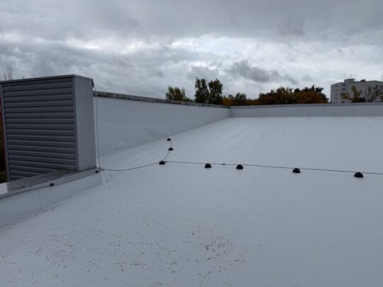 WhatsApp Image 2025-10-20 at 13.54.01