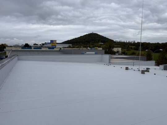 WhatsApp Image 2025-10-20 at 13.54.03