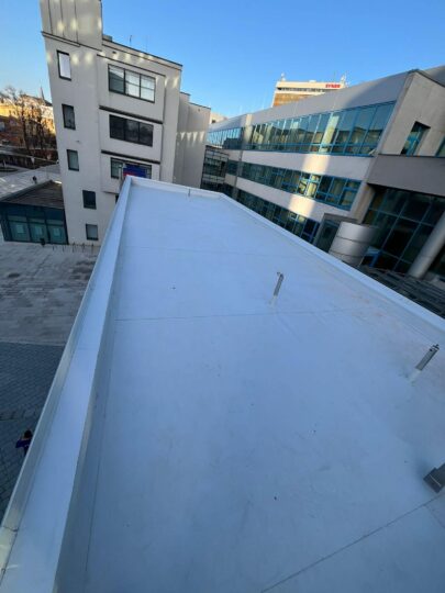 WhatsApp Image 2026-03-02 at 13.00.24