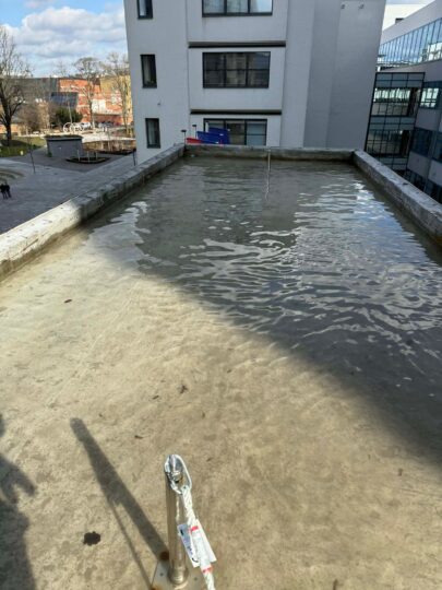 WhatsApp Image 2026-03-02 at 13.00.25 (1)