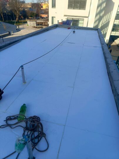 WhatsApp Image 2026-03-02 at 13.00.25 (3)