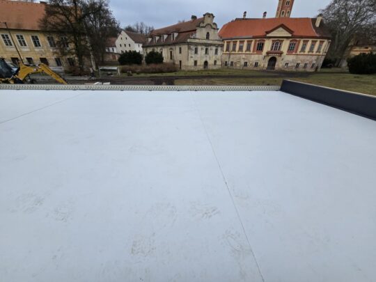 WhatsApp Image 2026-03-02 at 14.04.57