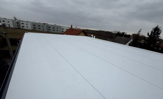 WhatsApp Image 2026-03-16 at 19.03.18