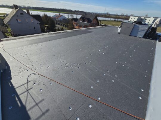 WhatsApp Image 2026-03-16 at 19.03.19 (7)