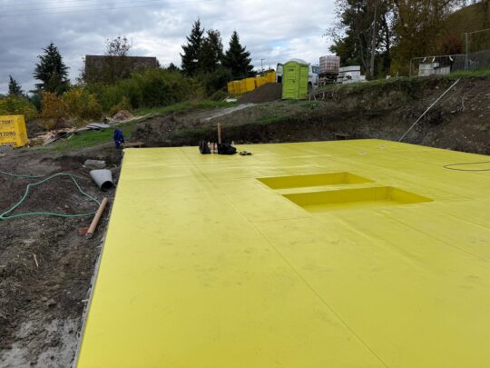 WhatsApp Image 2026-03-23 at 12.20.24 (2)